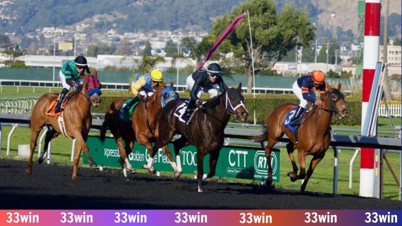 Đua ngựa online - Sống trọn đam mê cùng chiến mã trên 33WIN 2 Giải đua ngựa Kentucky Derby hấp dẫn