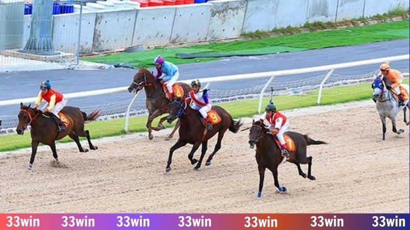 Đua ngựa online - Sống trọn đam mê cùng chiến mã trên 33WIN 3 Kèo đấu đua ngựa phong phú để bạn lựa chọn