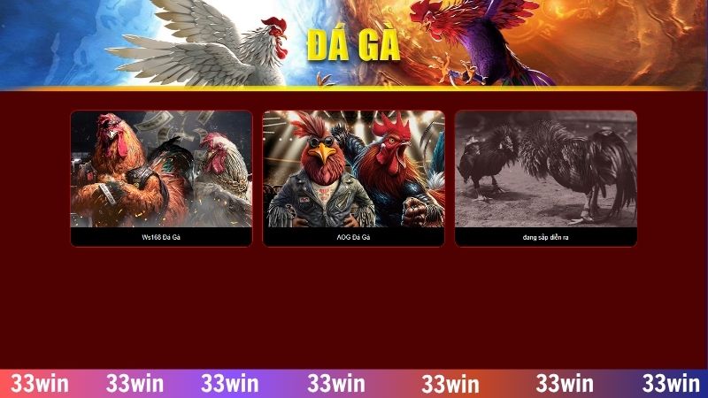 Đá gà online 33WIN - Đam mê bất diệt cùng chiến kê xuất sắc 1 Xem trận đấu trực tiếp ngay trên giao diện nhà cái